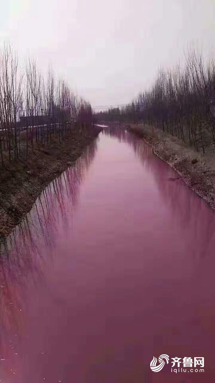 疑因倾倒废物污染 德州宁津一河流河水变成红