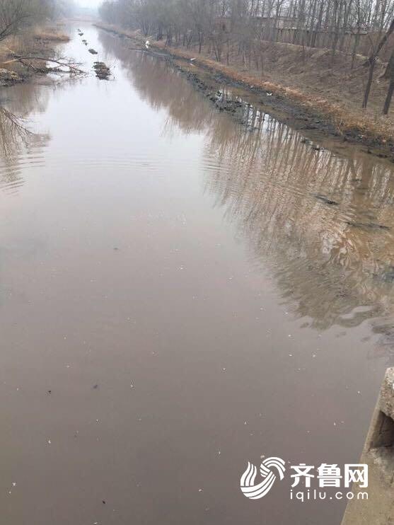 疑因倾倒废物污染 德州宁津一河流河水变成红