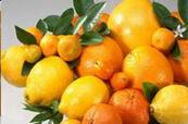 济南柑橘类水果价格上涨 菠萝芒果等价格亲民