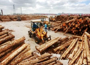 中国木材加工贸易园区规划论证会在潍坊寿光召开