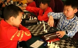 2017年山东省国际象棋等级赛在冠县举行