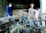 潍坊开展打击集贸市场非法经营出售野生动物违法行为