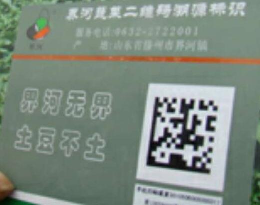 枣庄滕州界河镇马铃薯有了“质量身份证”
