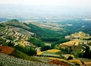 潍坊6园区入选生态休闲农业示范园区脱贫攻坚建设项目名单