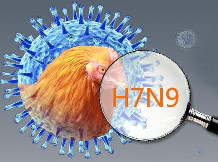 滨州市积极防控人感染H7N9禽流感疫情