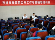 潍坊举办政务公开工作专题辅导培训课 提高政务公开效率