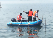 泰安大汶口清理河道渔网 整治非法捕鱼
