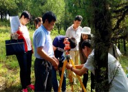 潍坊举办第九次森林资源清查动员会 提升业务水平