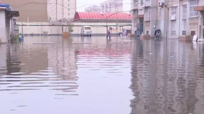 大雨过后东营一小区被淹 排水管道不畅边排边返水