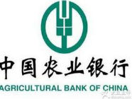 中国农业银行日照分行：从严治贷坚守信贷质量底线