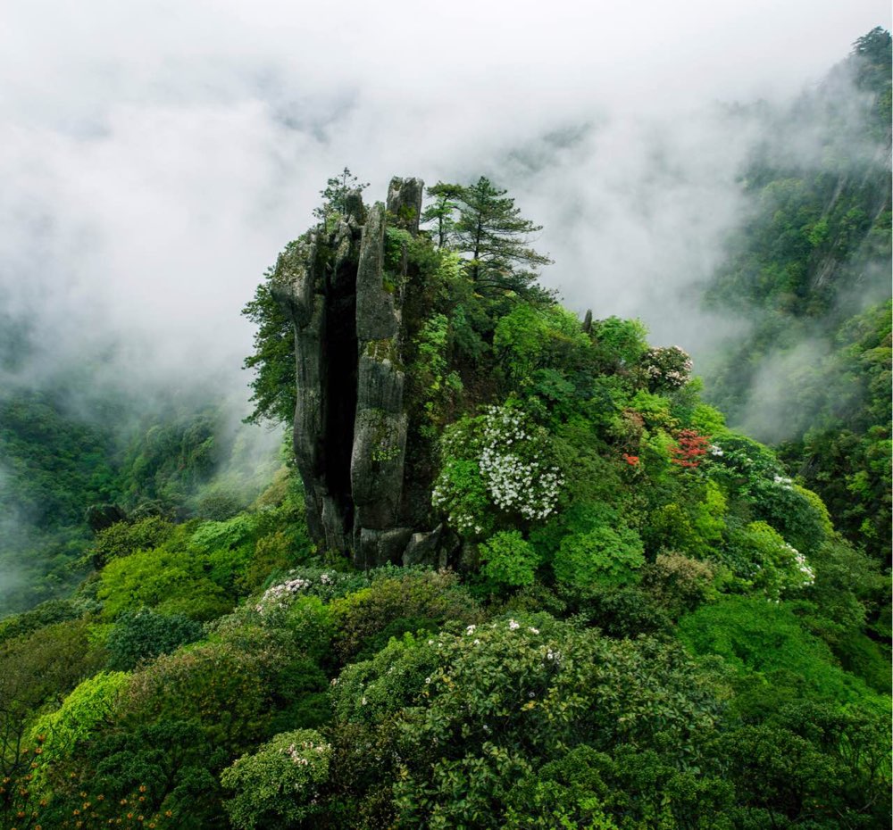 安福"羊狮慕"雨雾显朦胧美 全国网媒江西游记者赞"迷人"