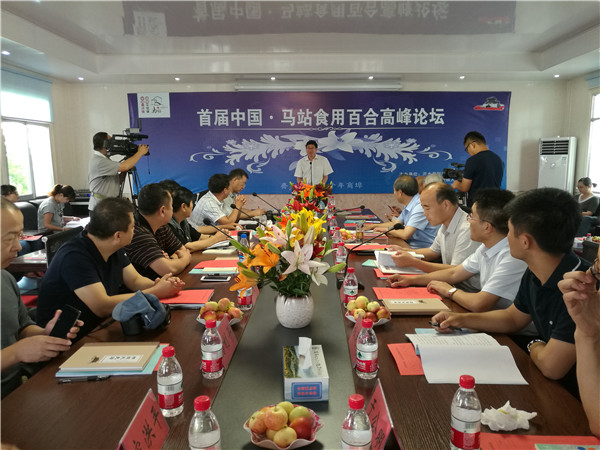 首届中国·马站食用百合高峰论坛在临沂沂水隆重举行