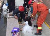 莒县丽景花园附近6岁女孩坠楼 日照消防紧急救援
