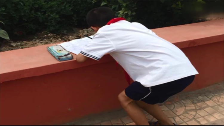 29秒 | 最努力小学生！36°高温下济南一小学生趴在花坛上写作业