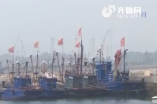 禁渔期外省渔船来“偷腥” 烟台现场查获三四万斤面条鱼