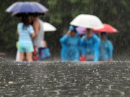 枣庄公路局启动防汛应急预案全力应对强降雨