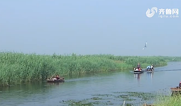 2019全运会经济效益_经济效益社会效益还有什么效益(3)