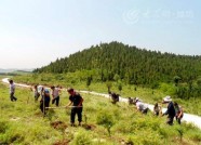 潍坊利用雨季加快植树造林 新建山区水源涵养林1.53万亩