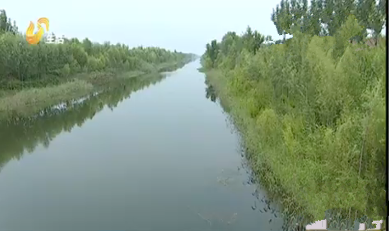 悲剧！济南商河两男童河边落水 一人不幸溺亡