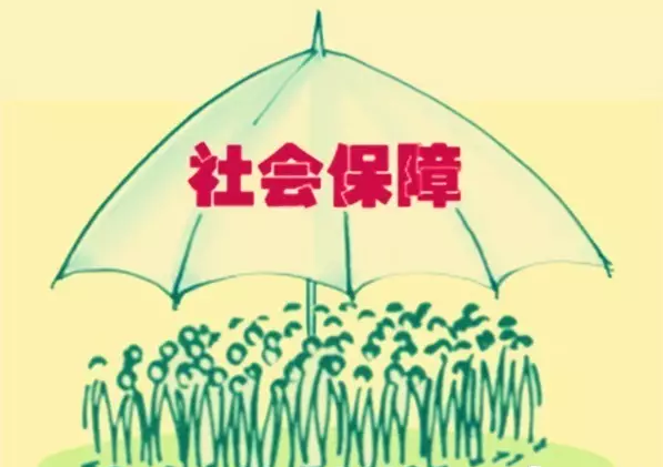 下肢神经支配区域图片_菏泽人均可支配收入(2)