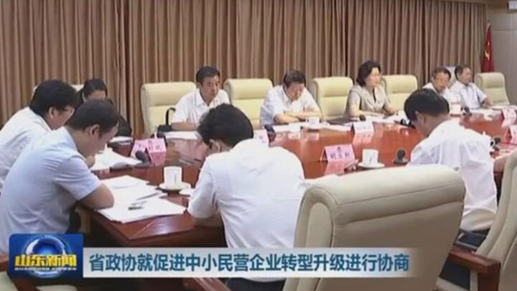 山东省政协就促进中小民营企业转型升级进行协商