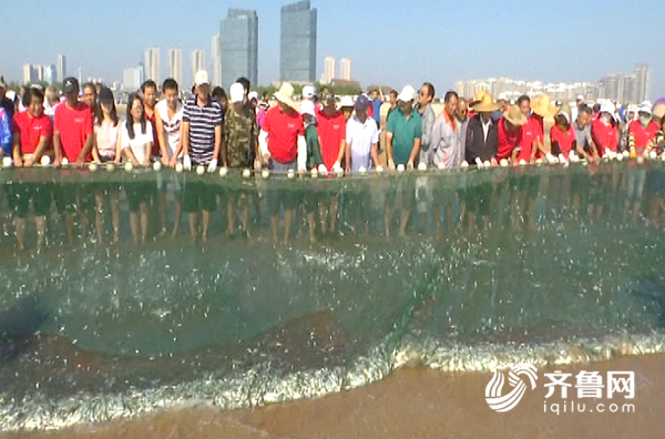 91秒|吃新鲜自己动手!青岛灵山湾200渔民游客