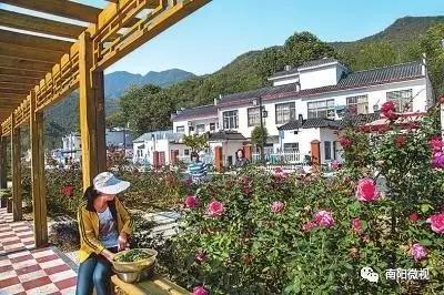有你家吗?山东17个村庄入选改善农村人居环境示范村