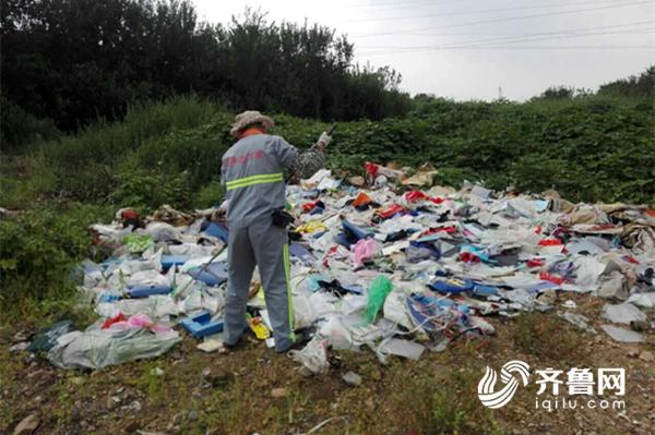 创城ing,青岛城管展开问题查找大行动_青岛民