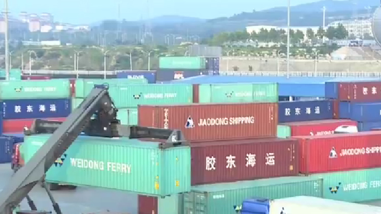 跨境贸易“零海运费”低成本做全球买卖，威海这家贸易企业咋这么牛？  