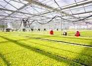 “国家现代农业产业园”落户潍坊 奖补资金达1亿元