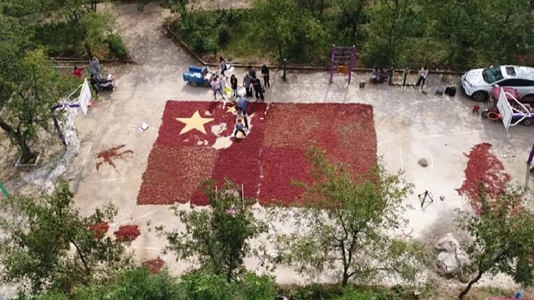 30秒｜迎国庆，枣庄农民用680斤长红枣拼出巨幅国旗