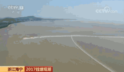 壮观!又到钱塘江观潮时 涛似连山喷雪来