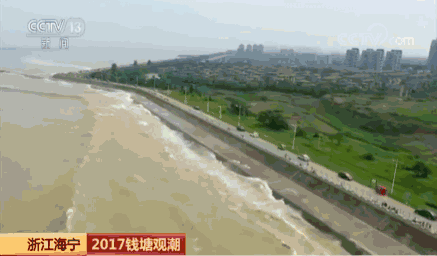 又到钱塘江观潮时 涛似连山喷雪来