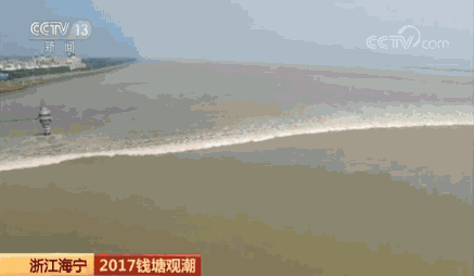 又到钱塘江观潮时 涛似连山喷雪来