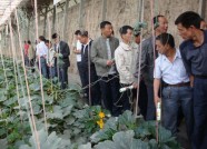 潍坊举办基层农技人员知识更新再培训 120位农技人员参加