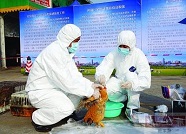 潍坊争取中央动物防疫补助资金2650万元 目前已全部拨付
