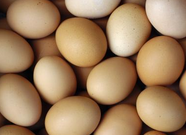 山东食药监抽检鸡蛋熟肉制品 抽检213批次合格率95.78%
