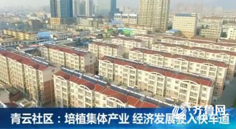 企业文化_企业纯收入