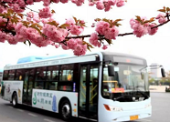 明日起潍坊51路、82路公交车线路调整，附详细线路图