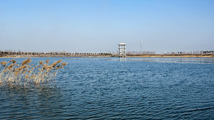 曲阜孔子湖正式命名“国家湿地公园”
