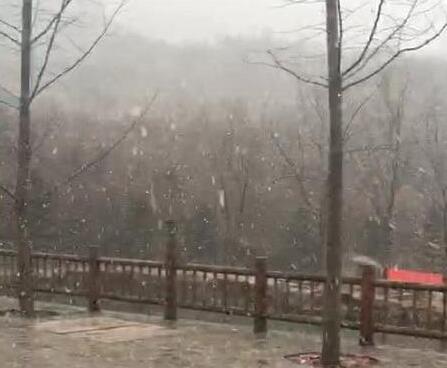 [海丽气象吧]山东：迎来雨雪降温天气  5日又迎弱冷空气