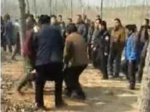 菏泽海鲜市场_山东菏泽水产市场每天卖出海产品六七吨销量翻三番(2)
