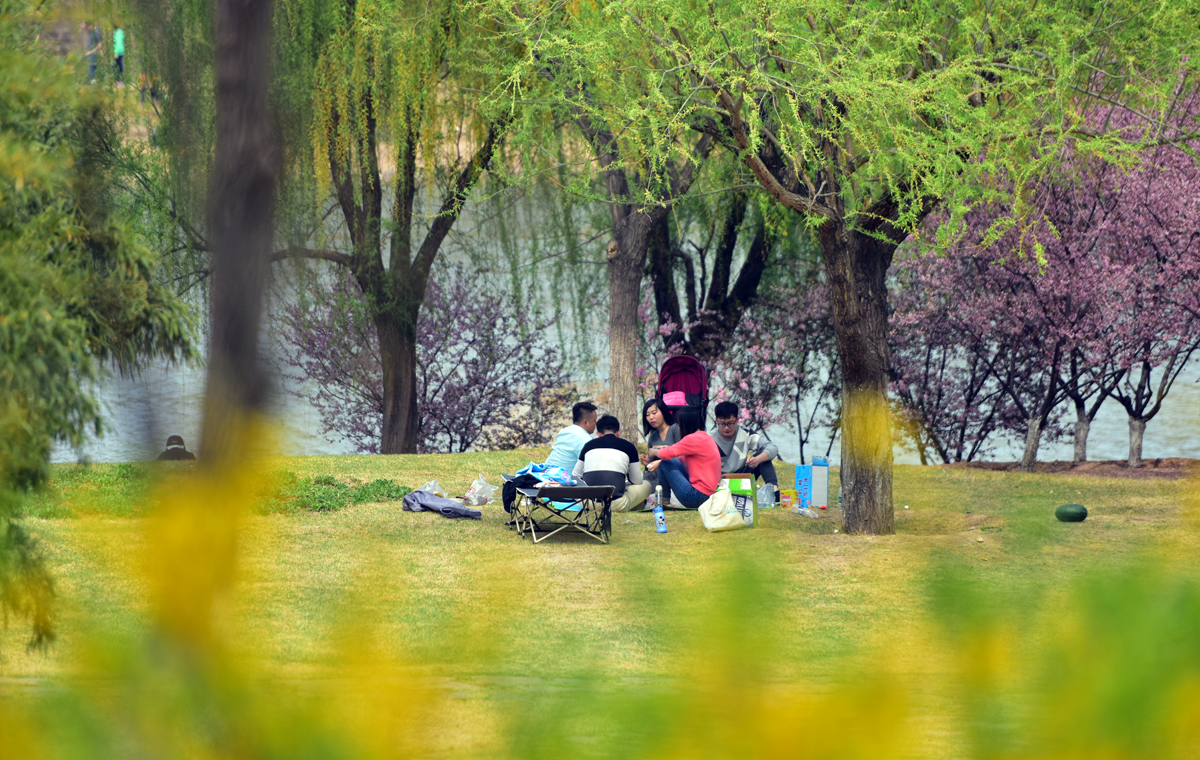 清明踏春正当时|济西腊山湿地公园成市民休闲度假“后花园”
