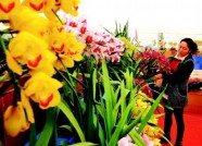 潍坊9个花卉展览项目亮相第九届中国花卉博览会
