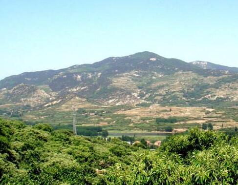 费县大青山等山东29个自然保护区获补5000万元