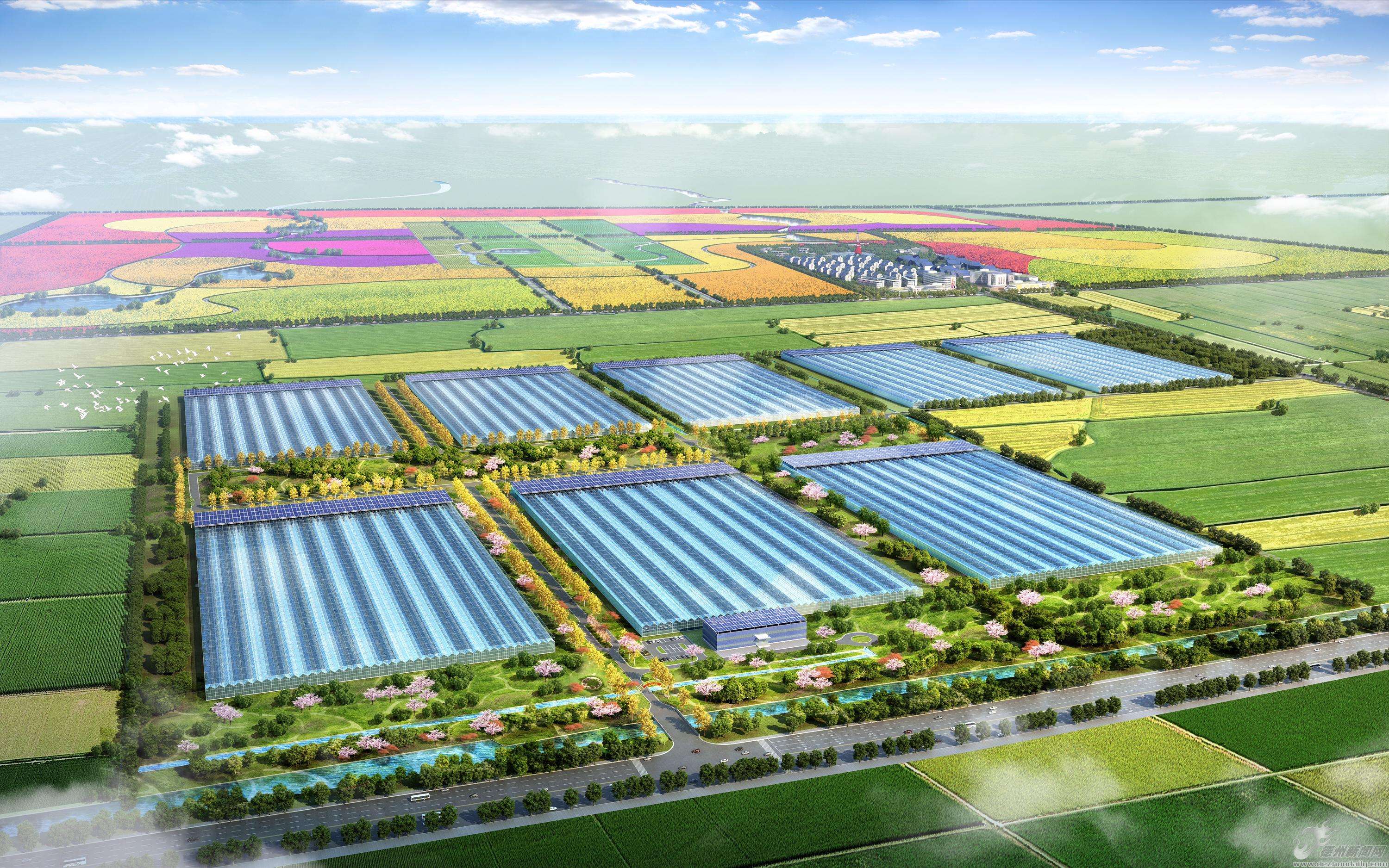 山东公布904个省级农业标准化生产基地 