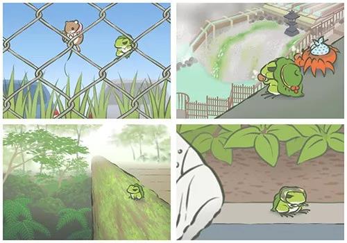 闪电懂 | 谈恋爱不如当青蛙妈!史上最全的养蛙攻略