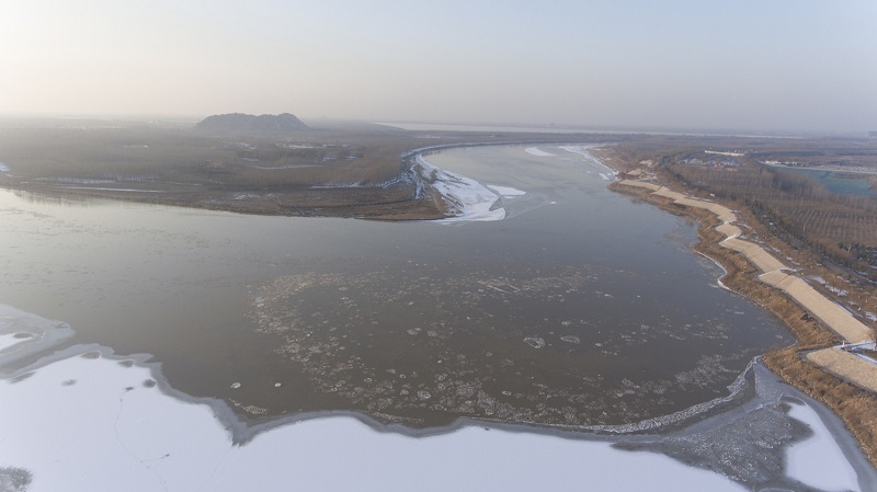 黄河济南段大面积流凌 块块冰花犹如“荷叶”（组图）