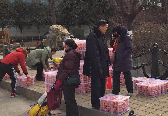 重庆老人带30吨脐橙来济南两天售罄：厚道山东人民 厚重齐鲁文化