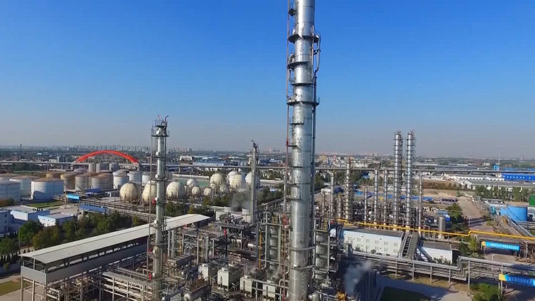 山东：突出重点标本兼治确保环境突出问题见底清零